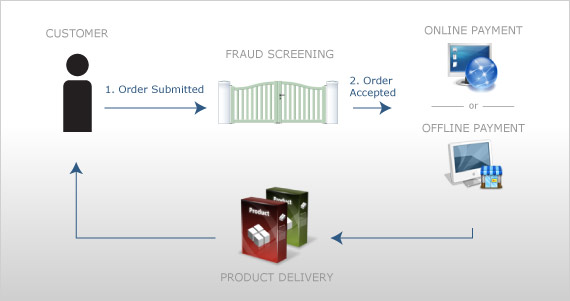 OfflinePayments_fraud Fraud Position in the Order Process